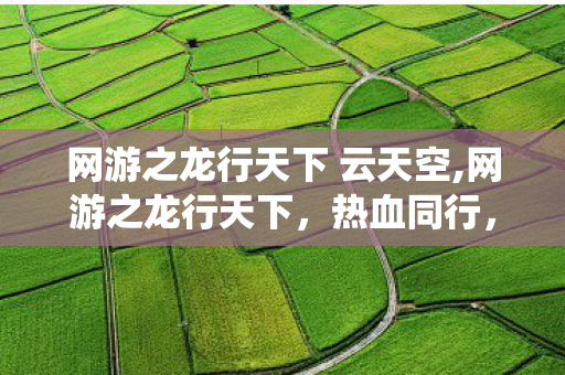 网游之龙行天下 云天空,网游之龙行天下，热血同行，共赴仙侠万里征途