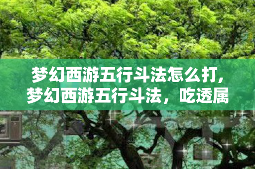 梦幻西游五行斗法怎么打,梦幻西游五行斗法,吃透属性逻辑的高收益趣味玩法 梦幻西游五行斗法怎么打,梦幻西游五行斗法,吃透属性逻辑的高收益趣味玩法