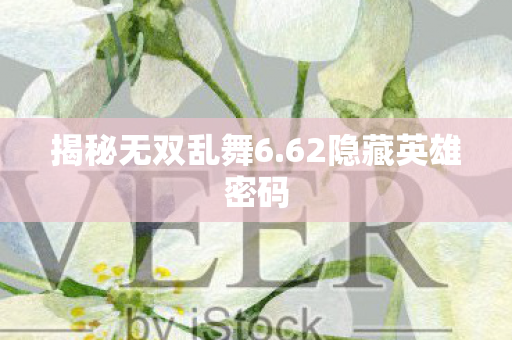 62隐藏英雄密码图片