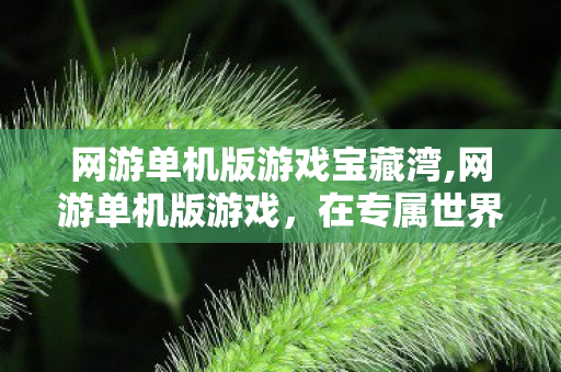 网游单机版游戏宝藏湾,网游单机版游戏，在专属世界里重拾纯粹的游戏乐趣