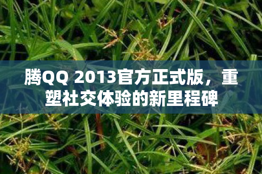 腾QQ 2013官方正式版图片