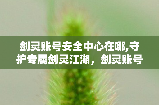 剑灵账号安全中心在哪,守护专属剑灵江湖,剑灵账号安全中心使用全攻略 剑灵账号安全中心在哪,守护专属剑灵江湖,剑灵账号安全中心使用全攻略