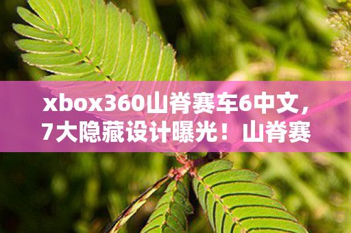 xbox360山脊赛车6中文,7大隐藏设计曝光!山脊赛车6竟藏着让玩家泪目的终极真相 xbox360山脊赛车6中文,7大隐藏设计曝光!山脊赛车6竟藏着让玩家泪目的终极真相