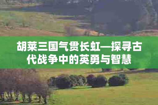 探寻古代战争中的英勇与智慧图片
