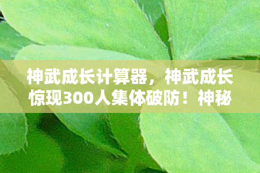 神武成长计算器，神武成长惊现300人集体破防！神秘谜团背后竟藏着……