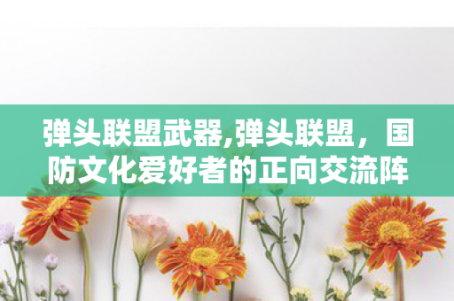 弹头联盟武器,弹头联盟,国防文化爱好者的正向交流阵地 弹头联盟武器,弹头联盟,国防文化爱好者的正向交流阵地