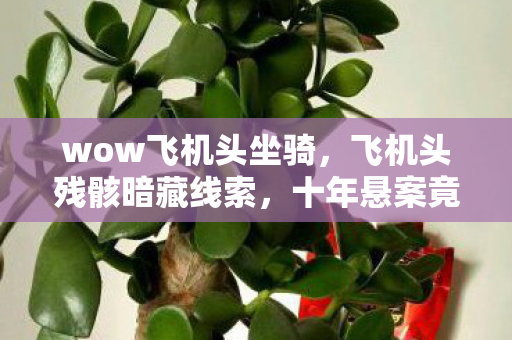 wow飞机头坐骑，飞机头残骸暗藏线索，十年悬案竟牵出毛骨悚然真相