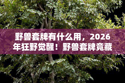 野兽套牌有什么用,2026年狂野觉醒!野兽套牌竟藏惊天秘密,你准备好颤抖了吗? 野兽套牌有什么用,2026年狂野觉醒!野兽套牌竟藏惊天秘密,你准备好颤抖了吗?