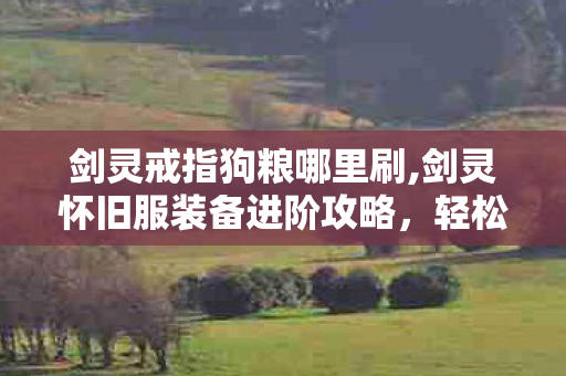 剑灵戒指狗粮哪里刷,剑灵怀旧服装备进阶攻略，轻松搞定戒指狗粮的省心思路