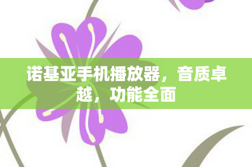 诺基亚手机播放器图片
