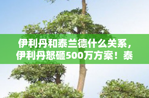 伊利丹和泰兰德什么关系，伊利丹怒砸500万方案！泰兰德隐情曝光，这操作真让人吓一跳！