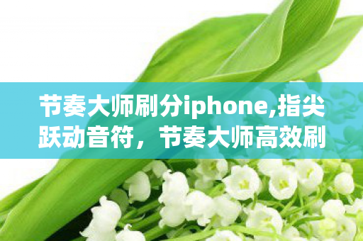 节奏大师刷分iphone,指尖跃动音符，节奏大师高效刷分的趣味玩法指南