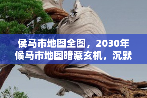 侯马市地图全图，2030年候马市地图暗藏玄机，沉默数据背后的命运抉择游戏