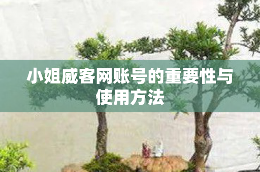 小姐威客网账号的重要性与使用方法图片