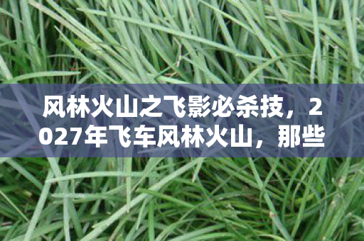 风林火山之飞影必杀技，2027年飞车风林火山，那些别走的伏笔，让我鼻子一酸