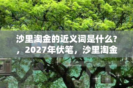 沙里淘金的近义词是什么?，2027年伏笔，沙里淘金般寻旧情，回忆翻涌鼻子一酸