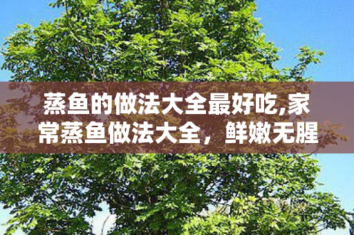 蒸鱼的做法大全最好吃,家常蒸鱼做法大全,鲜嫩无腥的诀窍全在这 蒸鱼的做法大全最好吃,家常蒸鱼做法大全,鲜嫩无腥的诀窍全在这
