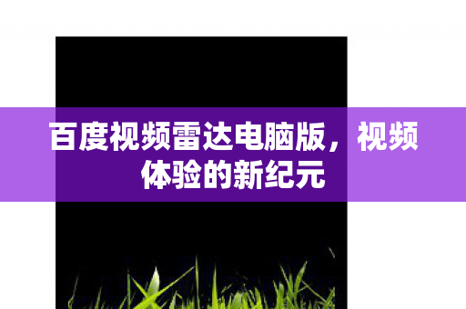 百度视频雷达电脑版图片