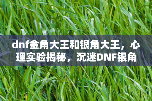 dnf金角大王和银角大王，心理实验揭秘，沉迷DNF银角大王战，细思极恐的自我囚禁