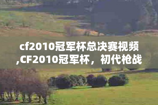 cf2010冠军杯总决赛视频,CF2010冠军杯，初代枪战玩家记忆里的滚烫荣光
