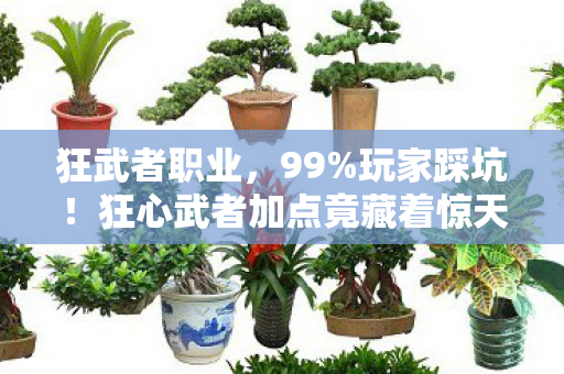 狂武者职业，99%玩家踩坑！狂心武者加点竟藏着惊天反转？