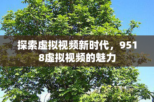 9518虚拟视频的魅力图片