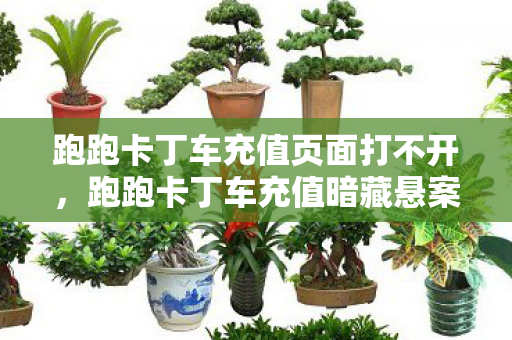 跑跑卡丁车充值页面打不开，跑跑卡丁车充值暗藏悬案，神秘线索竟引向毛骨悚然真相