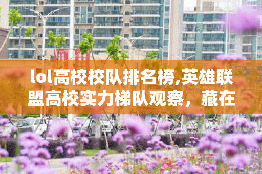 lol高校校队排名榜,英雄联盟高校实力梯队观察，藏在象牙塔里的电竞热血版图