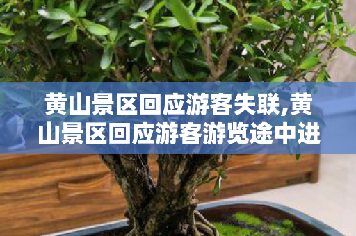 黄山景区回应游客失联,黄山景区回应游客游览途中进退两难事件，多举措优化动线 筑牢出行服务屏障