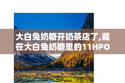 大白兔奶糖开奶茶店了,藏在大白兔奶糖里的11HPO,一口咬开跨越半世纪的甜香新序章 大白兔奶糖开奶茶店了,藏在大白兔奶糖里的11HPO,一口咬开跨越半世纪的甜香新序章