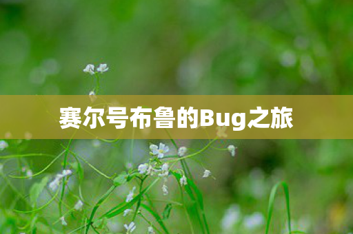 赛尔号布鲁的Bug之旅图片