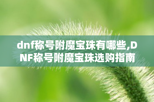 dnf称号附魔宝珠有哪些,DNF称号附魔宝珠选购指南，适配不同需求的细节提升攻略