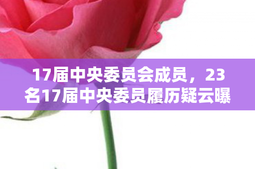 17届中央委员会成员，23名17届中央委员履历疑云曝光！网友，这细节真绷不住了