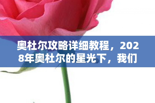 奥杜尔攻略详细教程，2028年奥杜尔的星光下，我们曾说永不散场，如今却鼻子一酸