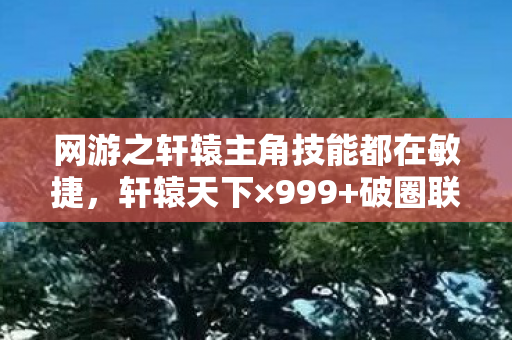 网游之轩辕主角技能都在敏捷，轩辕天下×999+破圈联动！我的钱包在2026年彻底阵亡了