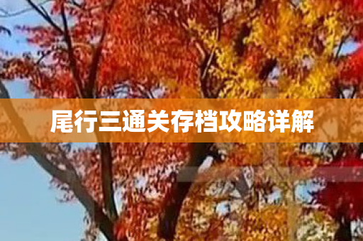 尾行三通关存档攻略详解图片