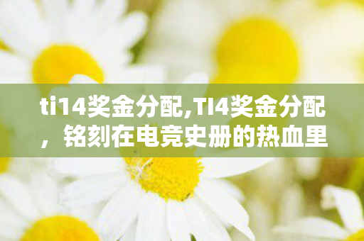 ti14奖金分配,TI4奖金分配，铭刻在电竞史册的热血里程碑