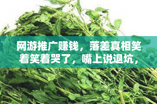 网游推广赚钱，落差真相笑着笑着哭了，嘴上说退坑，身体却诚实到2027年还在肝！