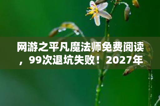 网游之平凡魔法师免费阅读，99次退坑失败！2027年魔法世界竟藏着这个惊天秘密？