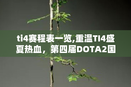ti4赛程表一览,重温TI4盛夏热血,第四届DOTA2国际邀请赛赛程全览 ti4赛程表一览,重温TI4盛夏热血,第四届DOTA2国际邀请赛赛程全览
