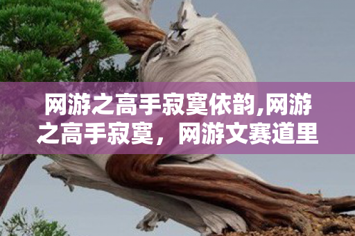 网游之高手寂寞依韵,网游之高手寂寞,网游文赛道里永不褪色的精神坐标 网游之高手寂寞依韵,网游之高手寂寞,网游文赛道里永不褪色的精神坐标
