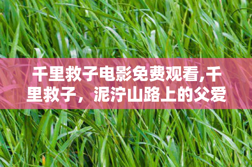 千里救子电影免费观看,千里救子,泥泞山路上的父爱奔赴 千里救子电影免费观看,千里救子,泥泞山路上的父爱奔赴