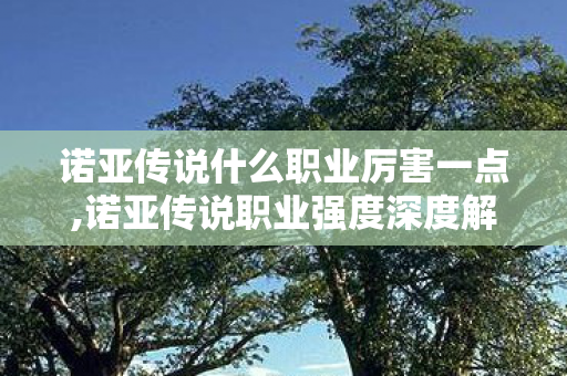 诺亚传说什么职业厉害一点,诺亚传说职业强度深度解析,没有绝对T0,选对适配玩法就很强 诺亚传说什么职业厉害一点,诺亚传说职业强度深度解析,没有绝对T0,选对适配玩法就很强