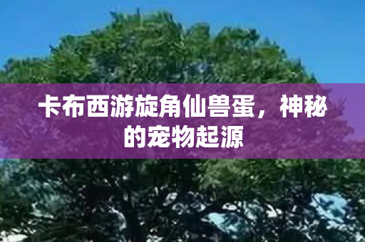 卡布西游旋角仙兽蛋图片