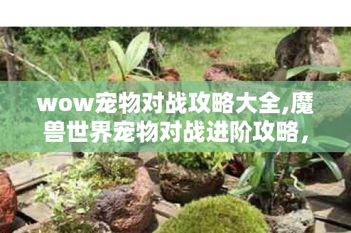 wow宠物对战攻略大全,魔兽世界宠物对战进阶攻略,从入门到精通的实战玩法指南 wow宠物对战攻略大全,魔兽世界宠物对战进阶攻略,从入门到精通的实战玩法指南