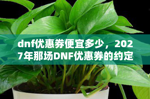 dnf优惠券便宜多少,2027年那场DNF优惠券的约定,伏笔成殇,如今想起鼻子一酸 dnf优惠券便宜多少,2027年那场DNF优惠券的约定,伏笔成殇,如今想起鼻子一酸