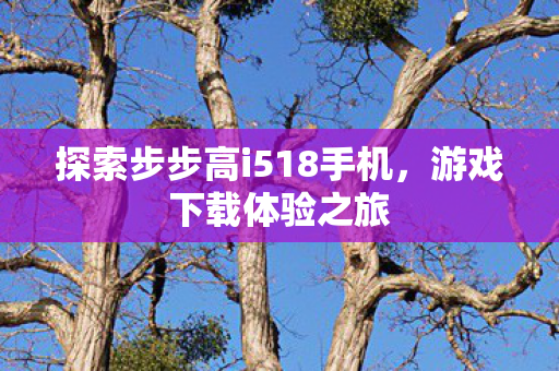 探索步步高i518手机图片