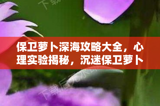 保卫萝卜深海攻略大全，心理实验揭秘，沉迷保卫萝卜深海9，细思极恐的自我麻醉