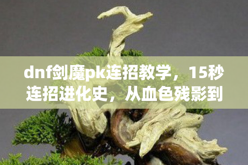 dnf剑魔pk连招教学,15秒连招进化史,从血色残影到剑破苍穹的泪目征程 dnf剑魔pk连招教学,15秒连招进化史,从血色残影到剑破苍穹的泪目征程