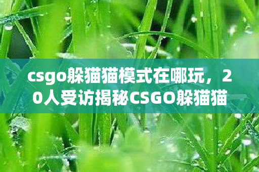 csgo躲猫猫模式在哪玩,20人受访揭秘CSGO躲猫猫模式疑点,真相让人绷不住! csgo躲猫猫模式在哪玩,20人受访揭秘CSGO躲猫猫模式疑点,真相让人绷不住!